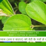 15 Shaban ( Shab e Barat ) Ko Berry K Patton Se Nahana / 15 शाबान (शब ए बारात) को बेरी के पत्तों से नहाना