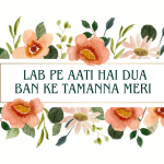 Lab Pe Aati Hai Dua Ban Ke Tamanna Meri / लब पे आती है दुआ बन के तमन्ना मेरी