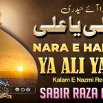 Jis Ke Hathon Mein Hai Zulfiqar-e-Nabi | Nara-e-Haidari Ya Ali Ya Ali / जिस के हाथों में है ज़ुल्फ़िक़ार-ए-नबी | नारा-ए-हैदरी या अली या अली